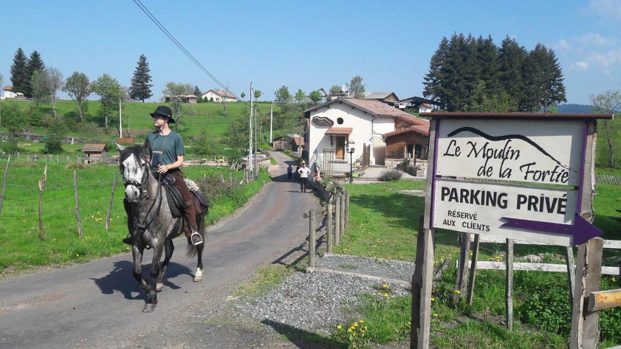 Le Moulin De La Fortie, Maison D'Hotes Viscomtat Zewnętrze zdjęcie